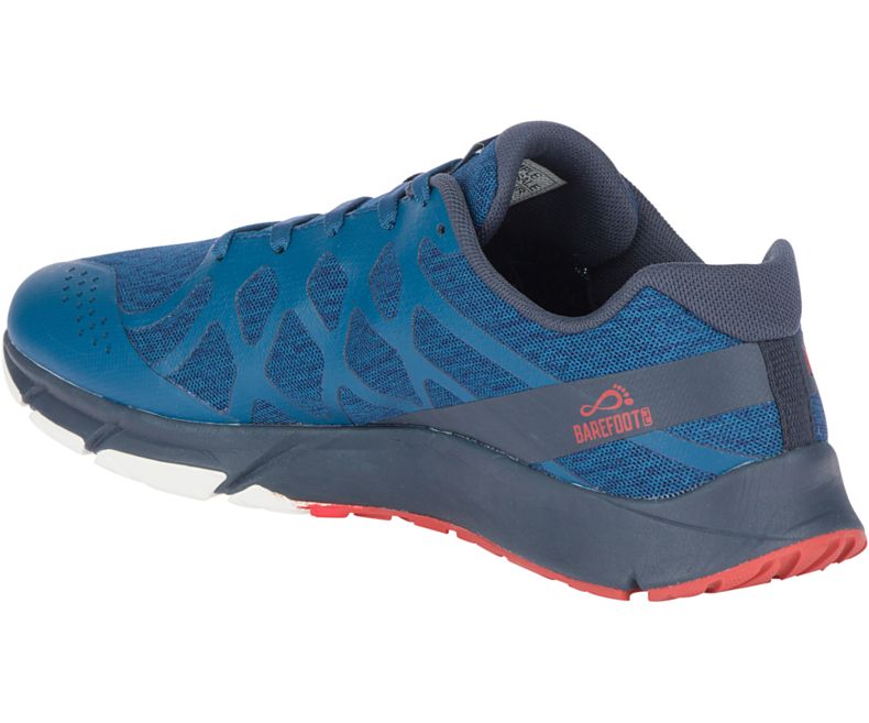 Merrell Bare Access Flex 2 Løpesko Herre Blå | 36160M-2RB