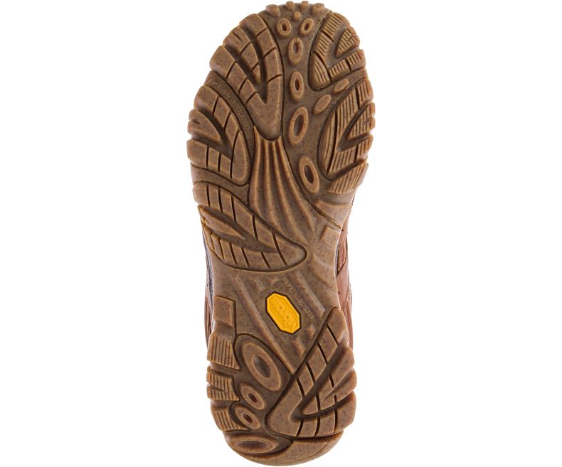 Merrell Moab 2 Earth Day Fjellsko Herre Mørke Brune | 36115M-2HD