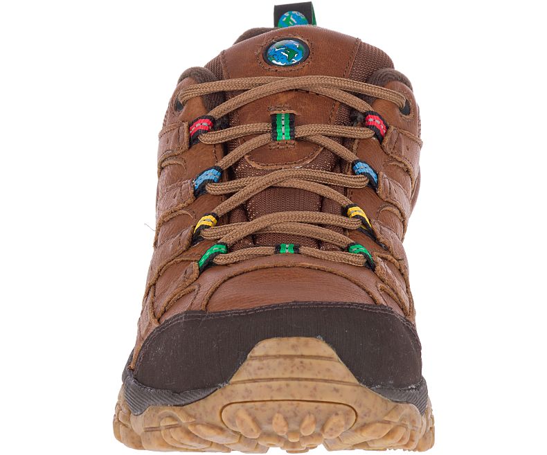 Merrell Moab 2 Earth Day Fjellsko Herre Mørke Brune | 36115M-2HD