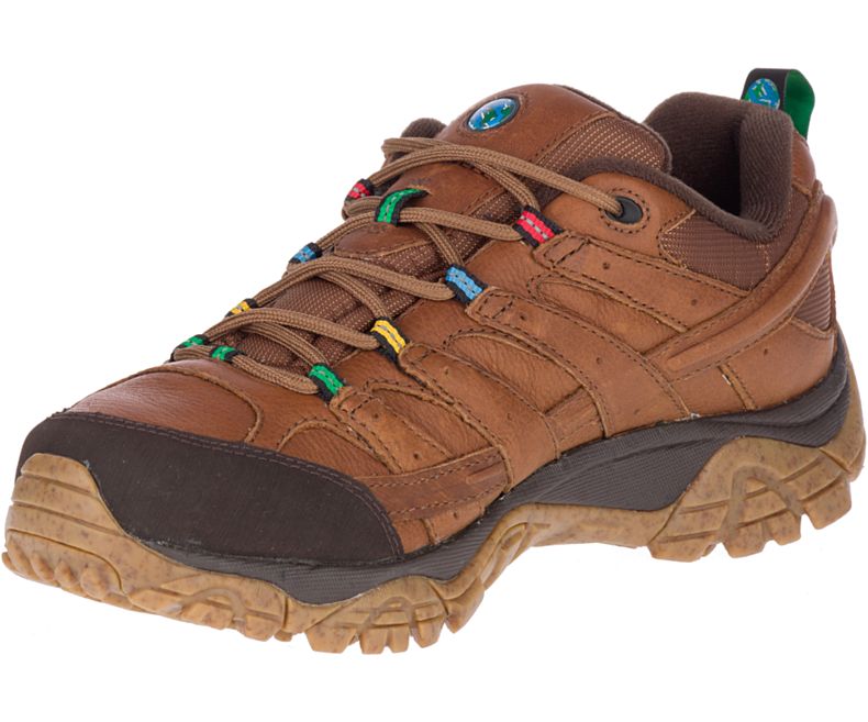 Merrell Moab 2 Earth Day Fjellsko Herre Mørke Brune | 36115M-2HD