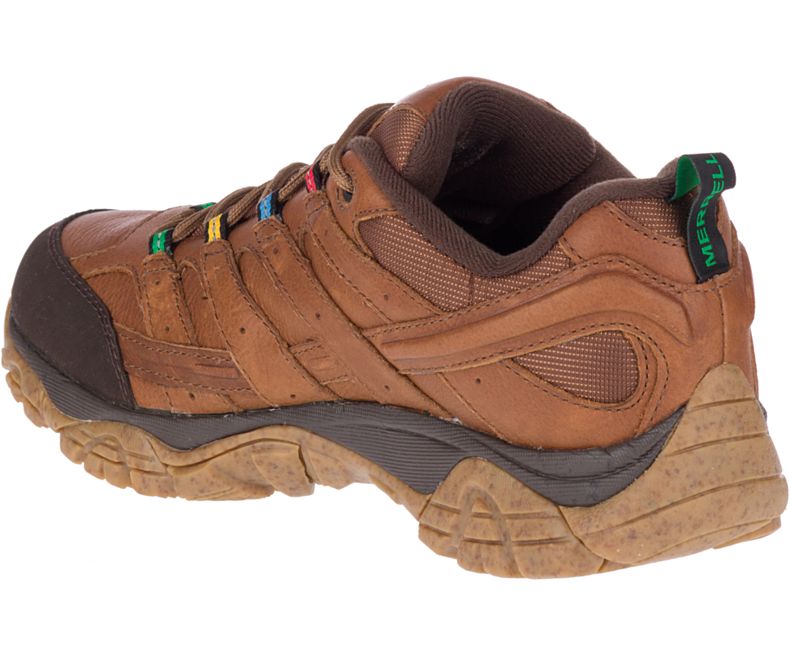 Merrell Moab 2 Earth Day Fjellsko Herre Mørke Brune | 36115M-2HD