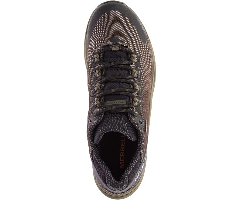 Merrell Thermo Cross 2 Vanntette Fjellsko Herre Olivengrønne | 41573M-2HO